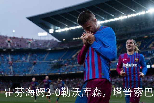霍芬海姆3-0勒沃库森，塔普索巴送点，克拉马里奇传射建功